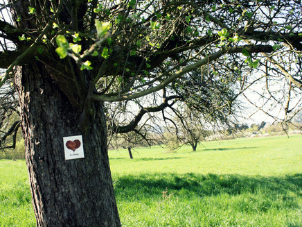 signposting along the way